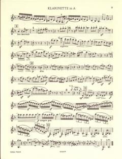 Quintett h-Moll op. 115 (Johannes Brahms) 