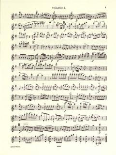 Serenade G-Dur KV 525 von Wolfgang Amadeus Mozart 