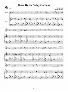 Celtic Flute Made Easy von Dona Gilliam 