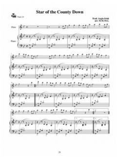 Celtic Flute Made Easy von Dona Gilliam 