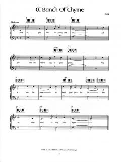 More Musical Reflections of Ireland 