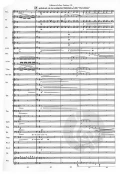 Lifetime of a Sun (Julien Meisenzahl) 