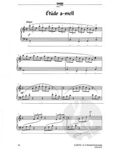 Von Scherzi, Etüden & Co von Thomas Hampich 