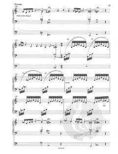 Partita in d 'Alles Leben ist dunkel' von Gottfried Holzer für Orgel im Alle Noten Shop kaufen