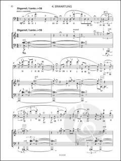 Sieben kleine Mysterien über die Ferne von Roman Pawollek 