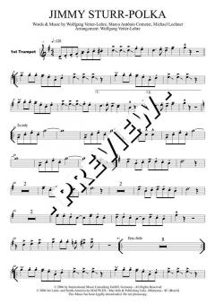 Jimmy Sturr Polka von Wolfgang Vetter-Lohre 