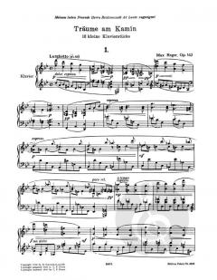 Träume am Kamin op. 143 von Max Reger 