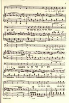 Ausgewählte Opern-Arien 