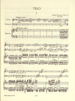 Trio g-Moll op.15 (Bedrich Smetana) 