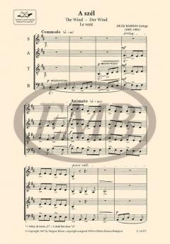 The Wind von György Deak-Bardos 