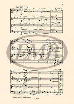 The Wind von György Deak-Bardos 