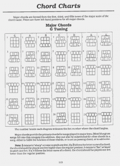 You Can Teach Yourself Banjo von Janet Davis im Alle Noten Shop kaufen - MB94429M