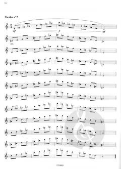 La technique d'embouchure von Philippe Bernold 