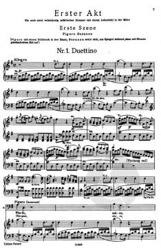 Die Hochzeit des Figaro KV 492 (W.A. Mozart) 