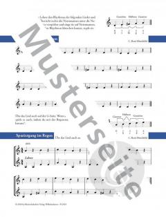 Meine Geigenwunderwelt von Caspar René Hirschfeld 