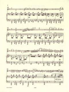 Konzert g-Moll op. 26 von Max Bruch für Violine und Orchester im Alle Noten Shop kaufen