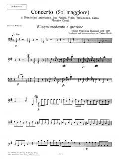 Concerto Sol maggiore (G-Dur) von Johann Nepomuk Hummel 