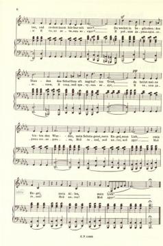 Ausgewählte Lieder von Pjotr Iljitsch Tschaikowski 