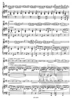 Konzert Nr. 2 A-Dur von Anatoli Komarowski 