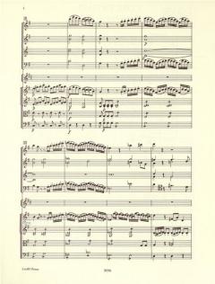 Cor Anglais Concertino in G von Gaetano Donizetti für Englisch Horn und Orchester im Alle Noten Shop kaufen (Partitur)