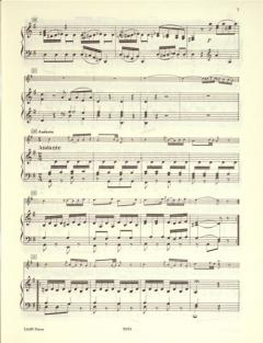 Concertino G-Dur von Gaetano Donizetti für Englisch Horn und Orchester im Alle Noten Shop kaufen