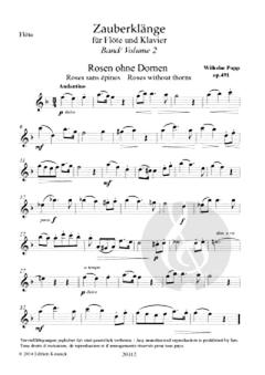 Zauberklänge op. 491 - Band 2 von Wilhelm Popp für Flöte und Klavier im Alle Noten Shop kaufen