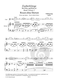 Zauberklänge op. 491 - Band 2 von Wilhelm Popp für Flöte und Klavier im Alle Noten Shop kaufen
