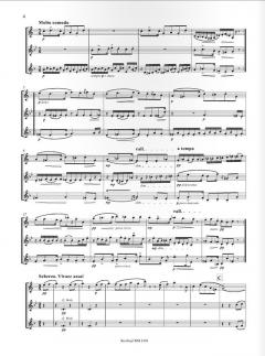 Divertimento op. 62b von Adolf Busch für Klarinette, Oboe und Englischhorn im Alle Noten Shop kaufen