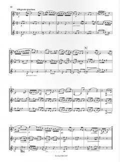 Divertimento op. 62b von Adolf Busch für Klarinette, Oboe und Englischhorn im Alle Noten Shop kaufen