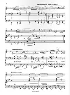 Sonate A-dur op. 54 von Adolf Busch für Klarinette und Klavier im Alle Noten Shop kaufen