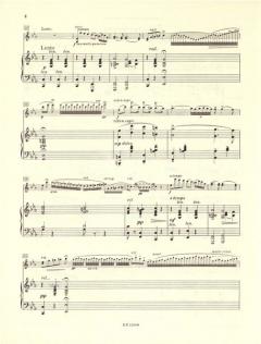 Zigeunerweisen op. 20 von Pablo de Sarasate für Violine und Klavier im Alle Noten Shop kaufen