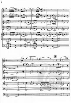 Andante con moto (Franz Schubert) 