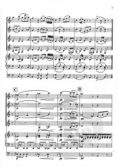 Andante con moto (Franz Schubert) 