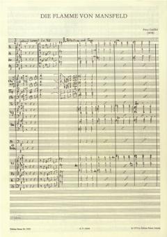 Die Flamme von Mansfeld von Fritz Geißler 