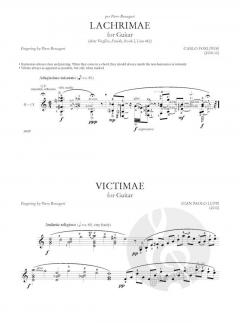 Envision the Music von Gian Paolo Luppi 