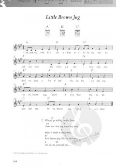 Das Folk- und Volksliederbuch für Alt und Jung 