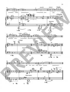 12 Lieder ohne Worte von Karel van Steenhoven 