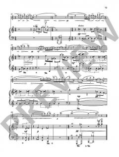 12 Lieder ohne Worte von Karel van Steenhoven 