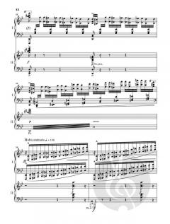 Klavierkonzert Nr. 2 g-moll op. 22 von Camille Saint-Saëns im Alle Noten Shop kaufen