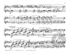 Prélude à l'après-midi d'un faune von Claude Debussy 