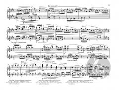 Prélude à l'après-midi d'un faune von Claude Debussy 