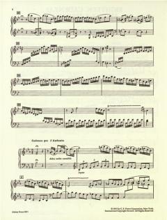 Kadenzen zu Mozart-Konzerten von Soulima Strawinsky 