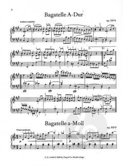 Komponisten-Reihe: Ludwig van Beethoven 