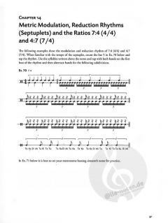 Precision Timing von Michael Nielsen 