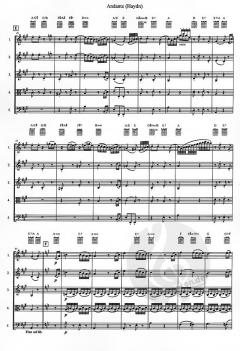 Andante von Joseph Haydn (Download) 