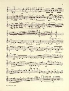 Fantasie in 2 Sätzen von Ross Lee Finney für Violine im Alle Noten Shop kaufen