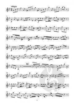 Concerto in g-Moll FWV L:g4 (Johann Friedrich Fasch) 