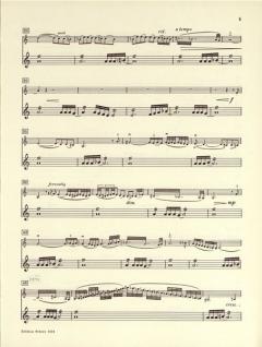 Homage To Iran von Henry Cowell für Violine und Klavier im Alle Noten Shop kaufen