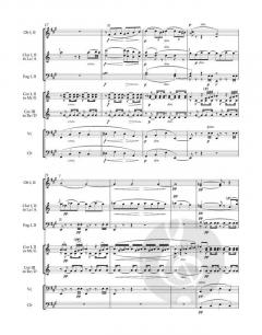 Serenade op. 44 (Antonín Dvorák) 