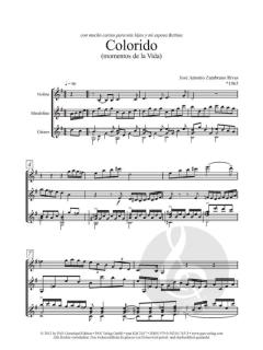 Colorido (José Antonio Zambrano) 